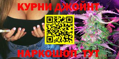 гидра Моздок