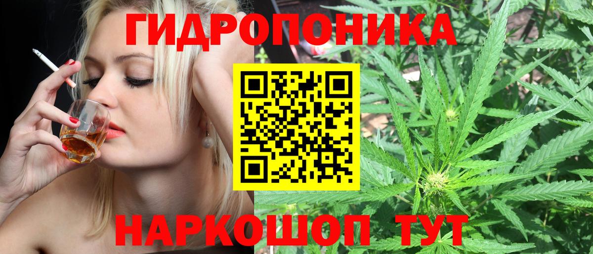Бошки марихуана Amnesia Орёл